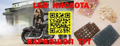 spice Краснознаменск