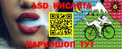 spice Краснознаменск
