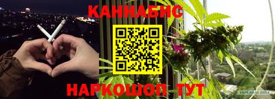 spice Краснознаменск